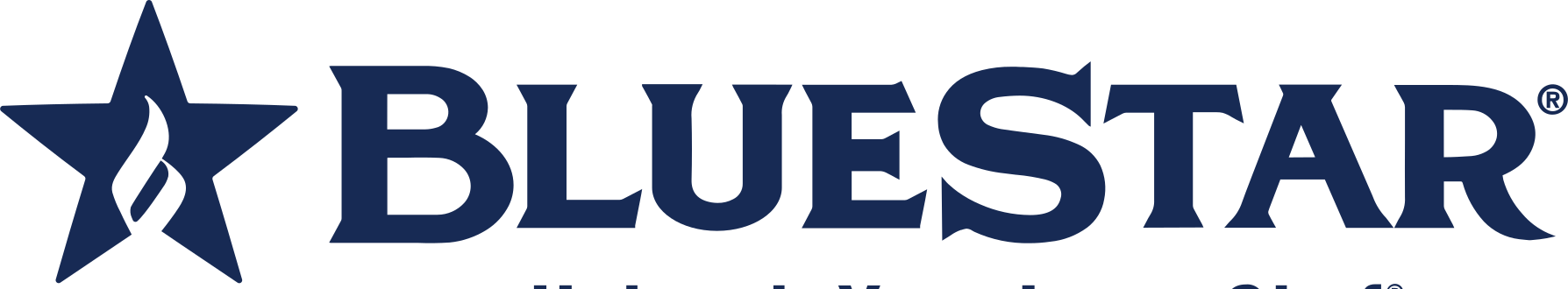 BlueStar appliance repair
